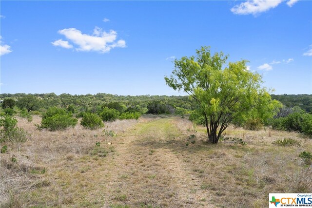 356 One River Pt, Johnson City, TX 78636