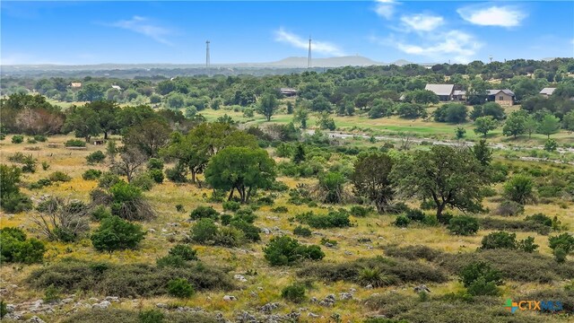 356 One River Pt, Johnson City, TX 78636