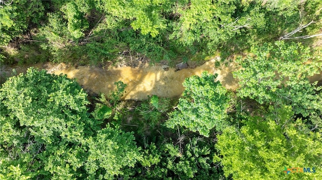 view of local wilderness