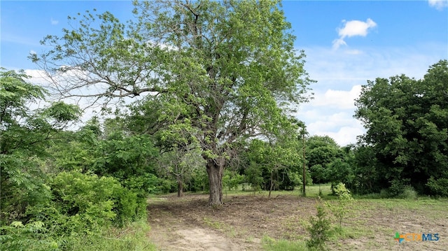 view of nature