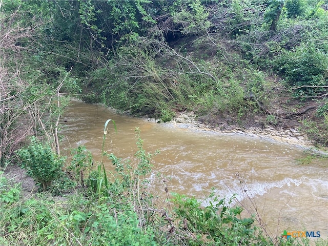 view of local wilderness