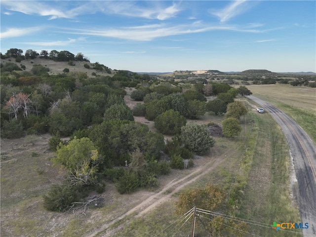 Listing photo 3 for TBD Fm 1690, Copperas Cove TX 76522