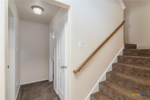 5305 Eagles Nest Dr, Killeen, TX 76549 - staircase featuring carpet flooring and baseboards