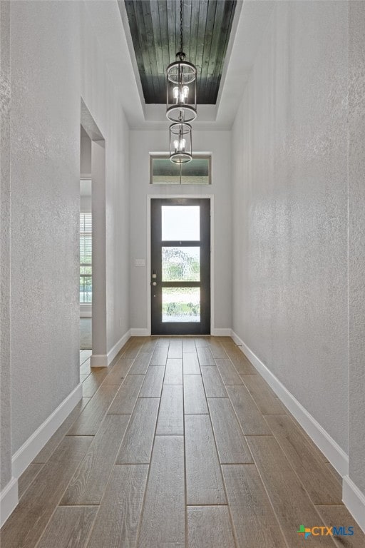 343 Sugarcane, New Braunfels, TX 78132 - foyer with a tray ceiling, wood finished floors, a healthy amount of sunlight, and a textured wall