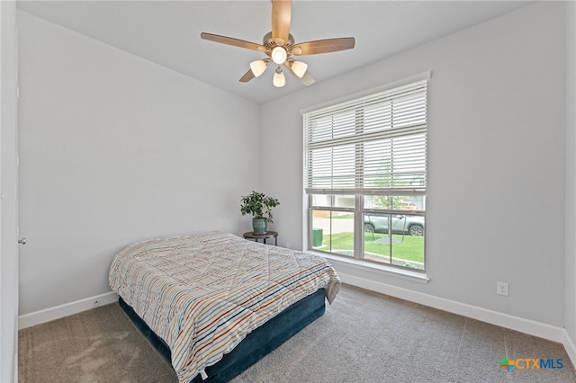 343 Sugarcane, New Braunfels, TX 78132 - bedroom with carpet, a ceiling fan, baseboards, and multiple windows