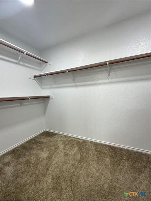 spacious closet with dark colored carpet