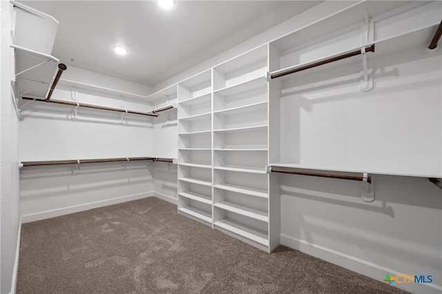 2037 Heritage Loop, Nolanville, TX 76559 - spacious closet with carpet
