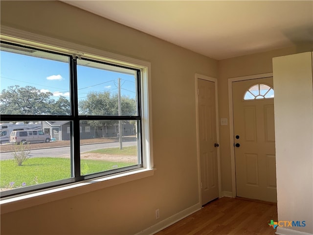 entrance foyer featuring a wealth of natural light and light hardwood / wood-style floors