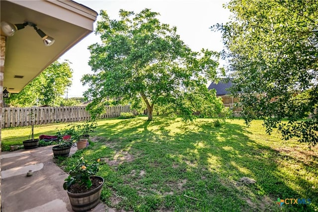 904 Iola St, Victoria, TX 77904 - view of yard featuring ceiling fan and a patio area