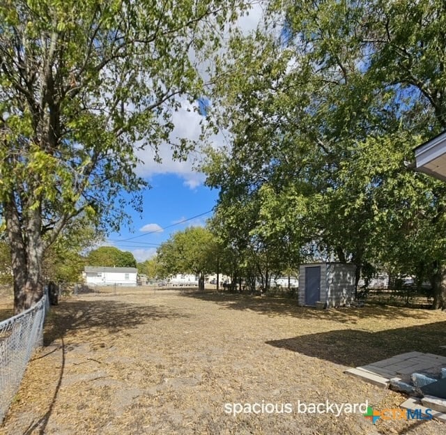 view of yard featuring a shed