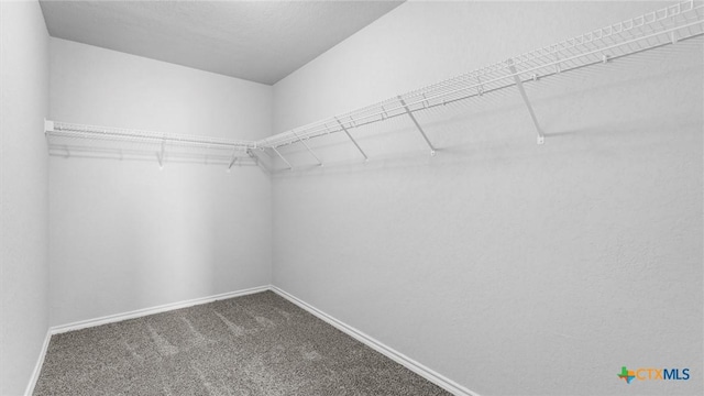 7350 Braes Cor, San Antonio, TX 78244 - spacious closet with carpet floors