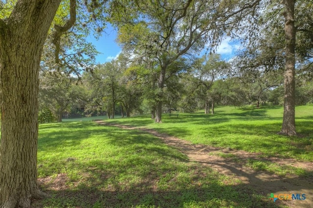 448 Summer Glen Ln, New Braunfels, TX 78132 - view of green lawn