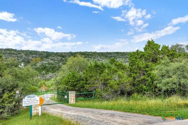 448 Summer Glen Ln, New Braunfels, TX 78132 - view of street featuring a gate and a forest view