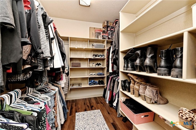 spacious closet with dark hardwood / wood-style flooring