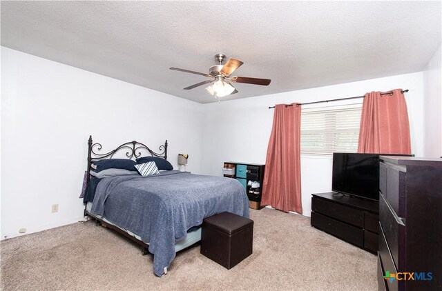 531 Santa Rosa Rd, Salado, TX 76571 - photo 17