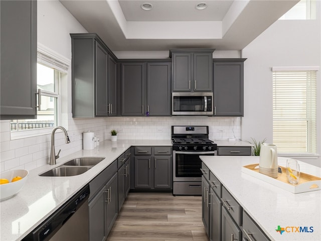 kitchen with tasteful backsplash, a raised ceiling, light stone countertops, stainless steel appliances, and a sink