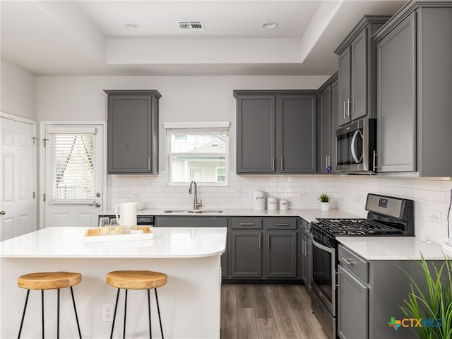 kitchen featuring a tray ceiling, stainless steel appliances, a sink, and gray cabinetry