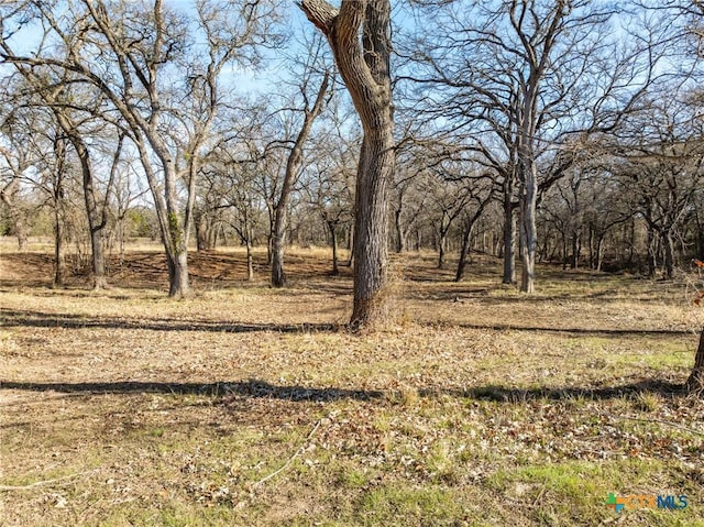 view of landscape