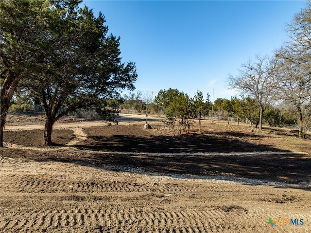 view of yard featuring a rural view