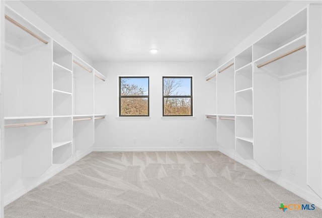 spacious closet featuring light carpet