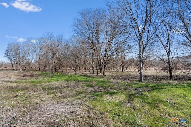 Listing photo 2 for TBD Tomahawk Trail, Dale TX 78616