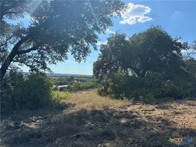 Listing photo 3 for LOT23 Bowles Ranch Rd, Belton TX 76513