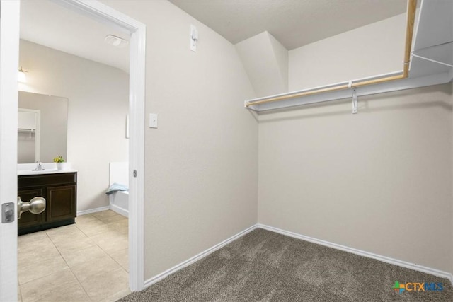 spacious closet with sink and light carpet