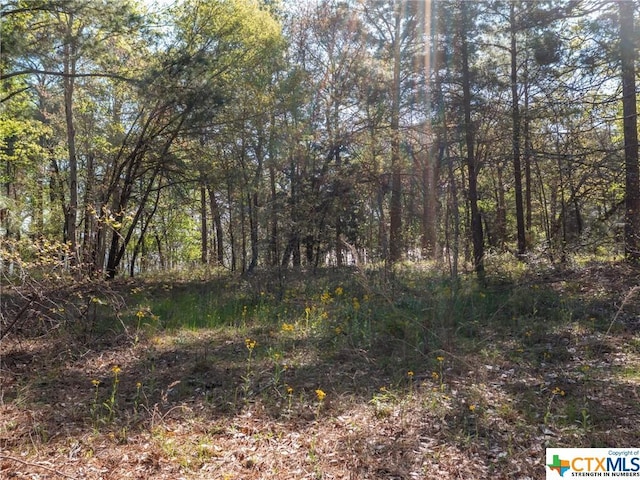 3108 Shadow Pine Dr, Larue, TX 75770