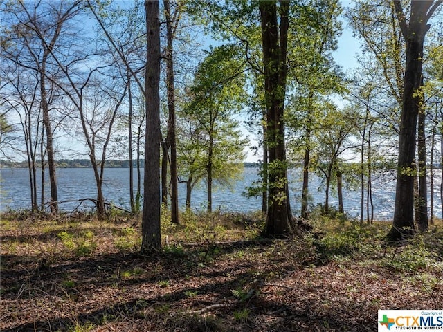 3108 Shadow Pine Dr, Larue, TX 75770