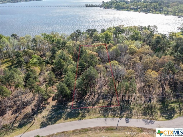 3108 Shadow Pine Dr, Larue, TX 75770