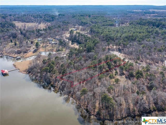 3108 Shadow Pine Dr, Larue, TX 75770