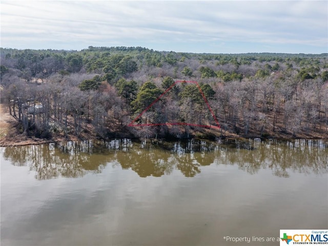 3108 Shadow Pine Dr, Larue, TX 75770