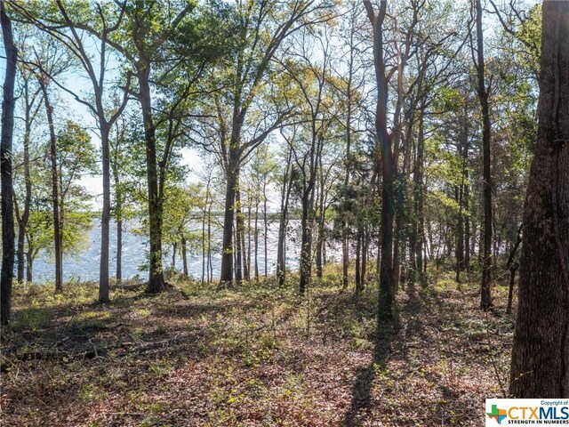 3108 Shadow Pine Dr, Larue, TX 75770