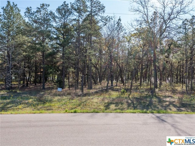 3108 Shadow Pine Dr, Larue, TX 75770