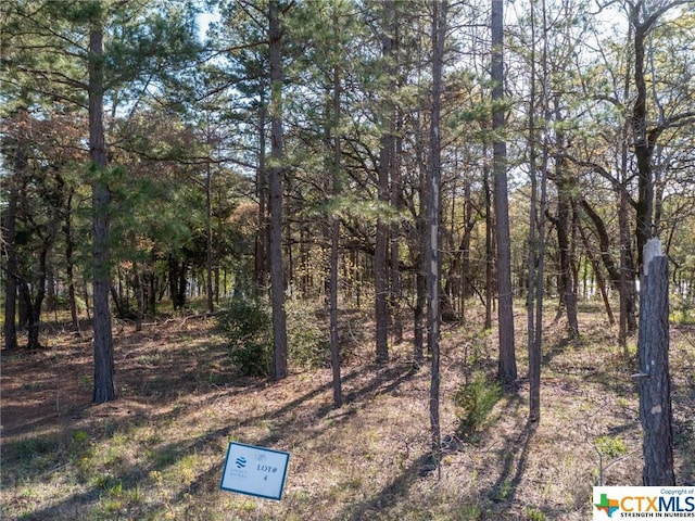 3108 Shadow Pine Dr, Larue, TX 75770