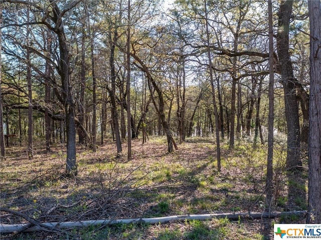 3108 Shadow Pine Dr, Larue, TX 75770