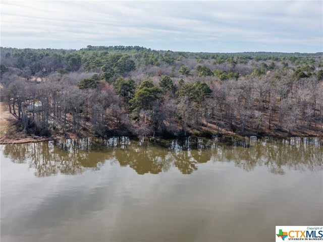 3108 Shadow Pine Dr, Larue, TX 75770
