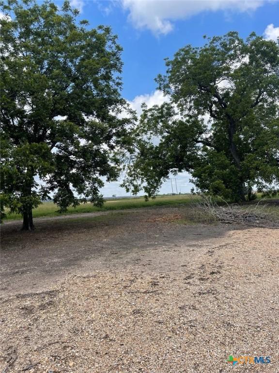 6268 Fm 2269, Buckholts, TX 76518 - view of yard