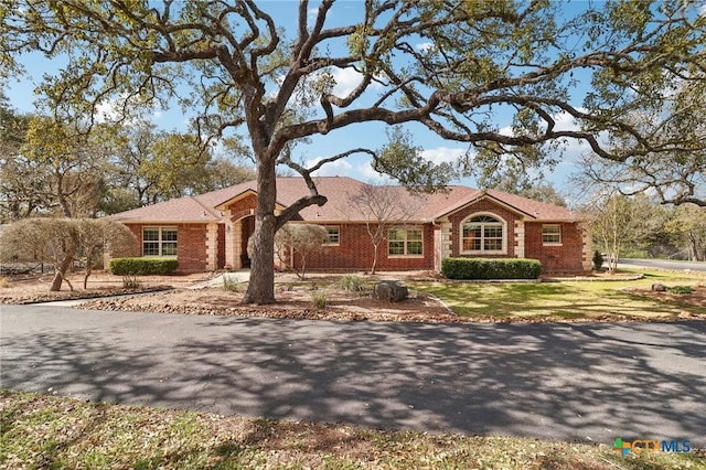 120 Oak Vis, New Braunfels, TX 78132 - ranch-style house with brick siding and a front yard