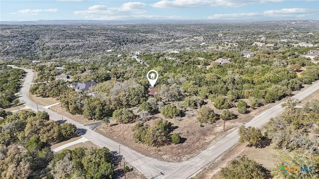 120 Oak Vis, New Braunfels, TX 78132 - drone / aerial view