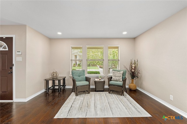 living area with dark wood-type flooring