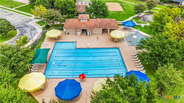 view of swimming pool with a patio area