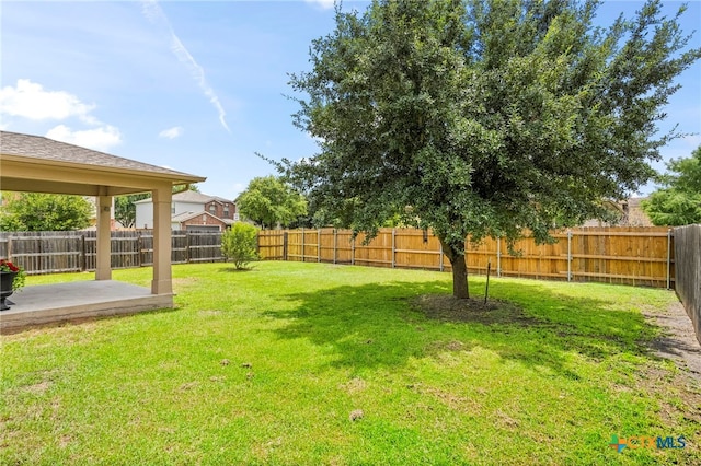 view of yard featuring a patio