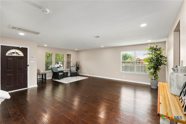 entryway featuring a textured ceiling, dark wood-type flooring, and a healthy amount of sunlight