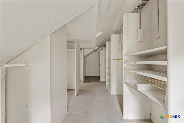 walk in closet with light carpet