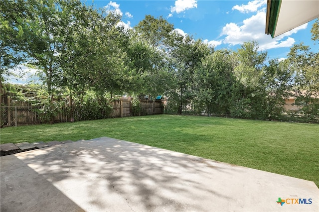 view of yard with a patio