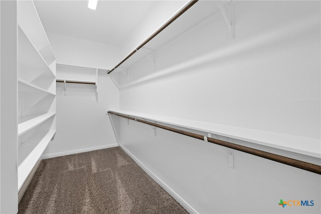 walk in closet featuring dark colored carpet