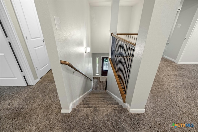 stairway featuring carpet