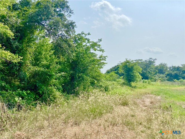 000 County Road 276, Edna, TX 77957 - photo 5