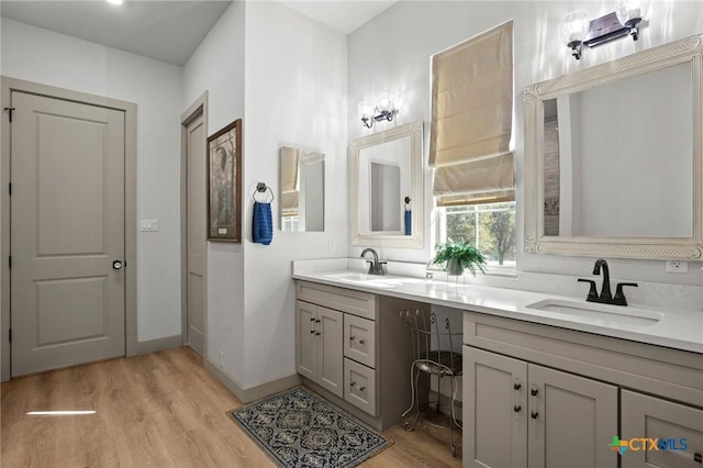 bathroom with hardwood / wood-style flooring and vanity